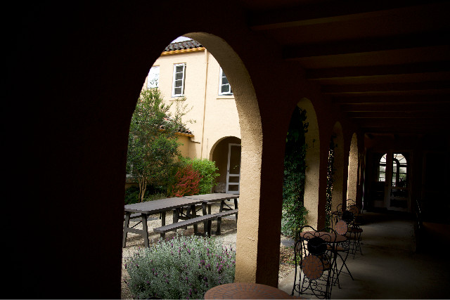 picnic table in a courtyard surrounded by plants