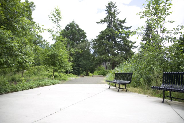 2 metal benches surrounded by shrubs