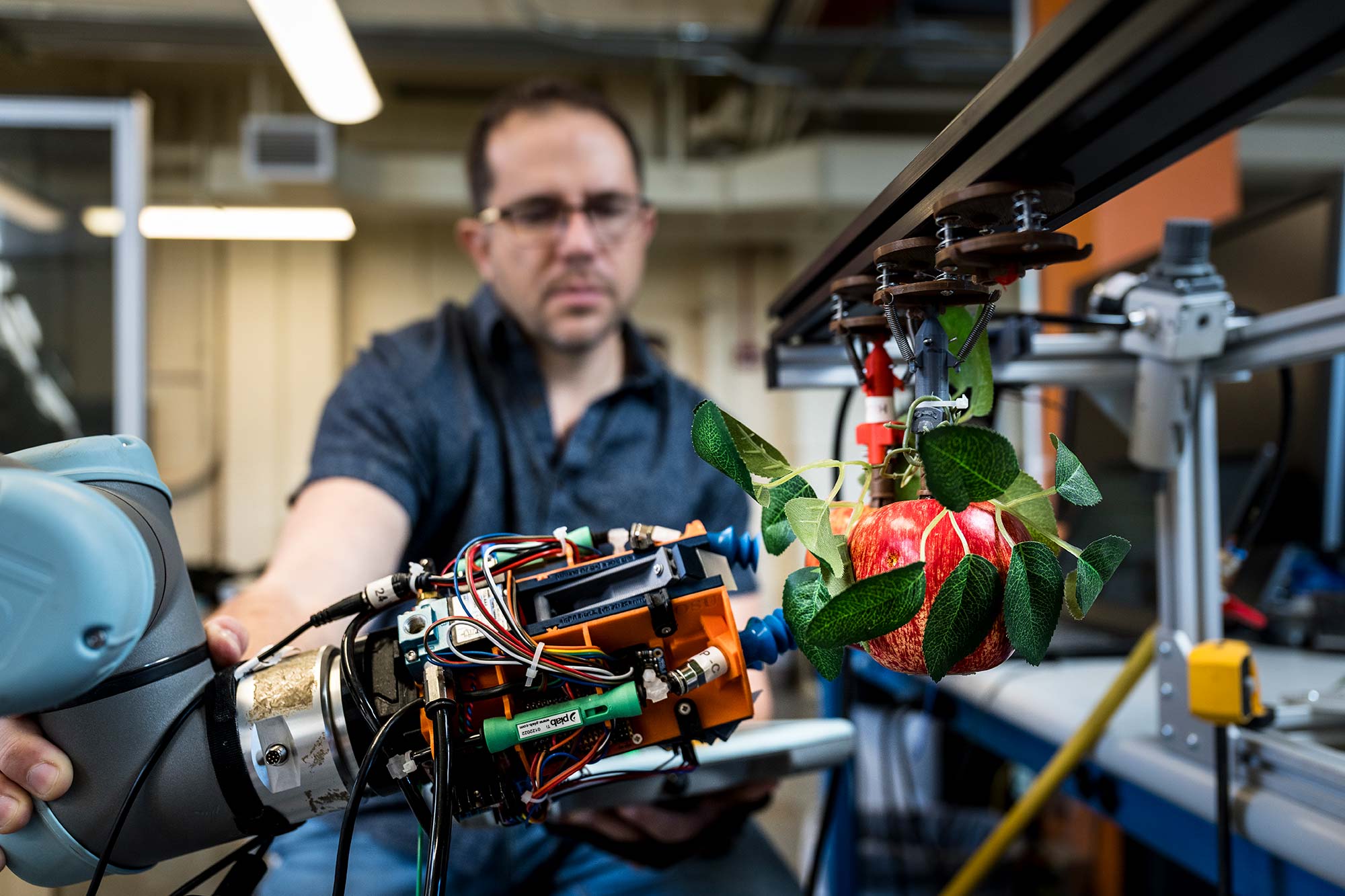 An Oregon State robot picks an apple