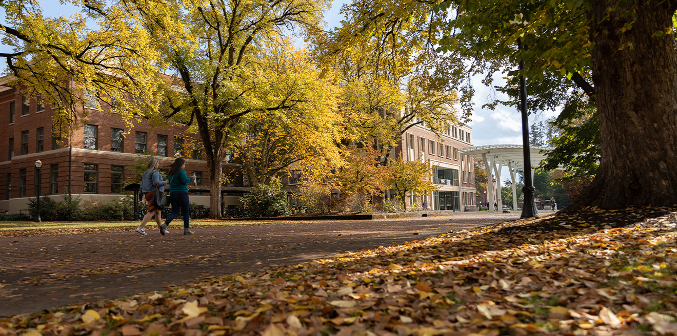 A fall day on OSU's campus.
